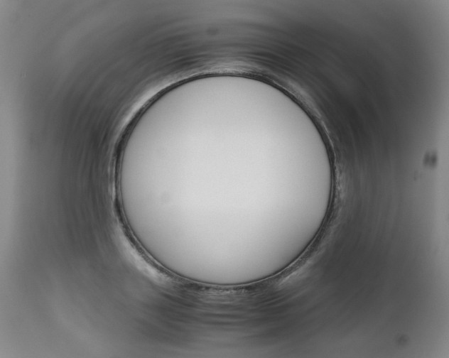 X0000113140843200909040955