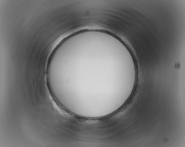 X0000113140845200909040955