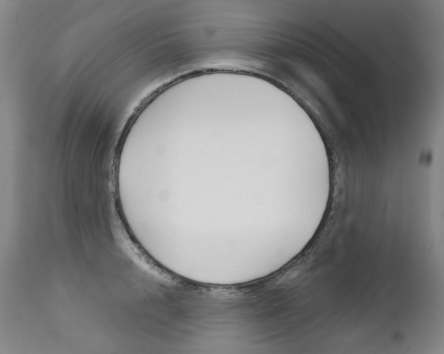 X0000113140848200909040956