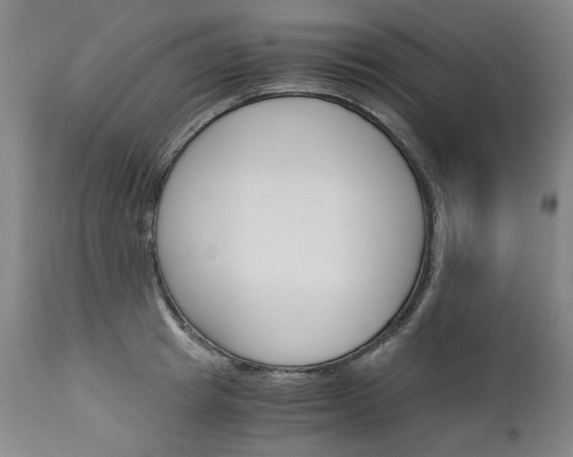 X0000113140849200909040956