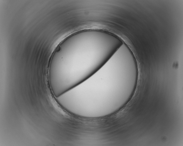 X0000113140850200909040956