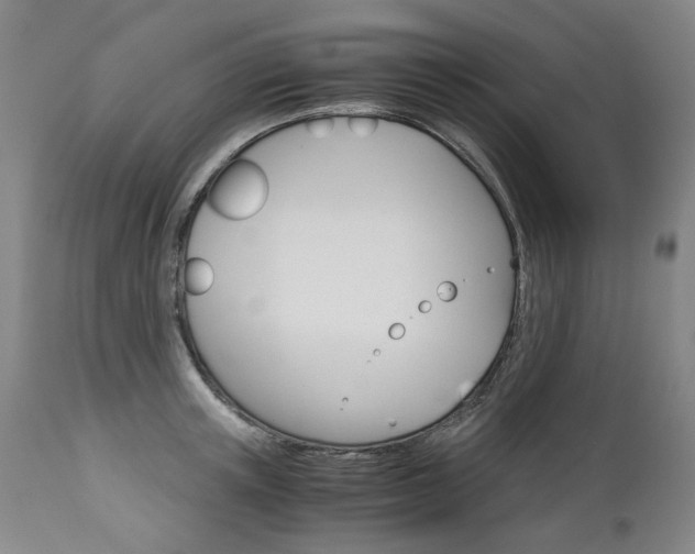 X0000113140851200909040956