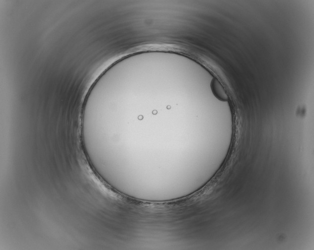 X0000113140852200909040956