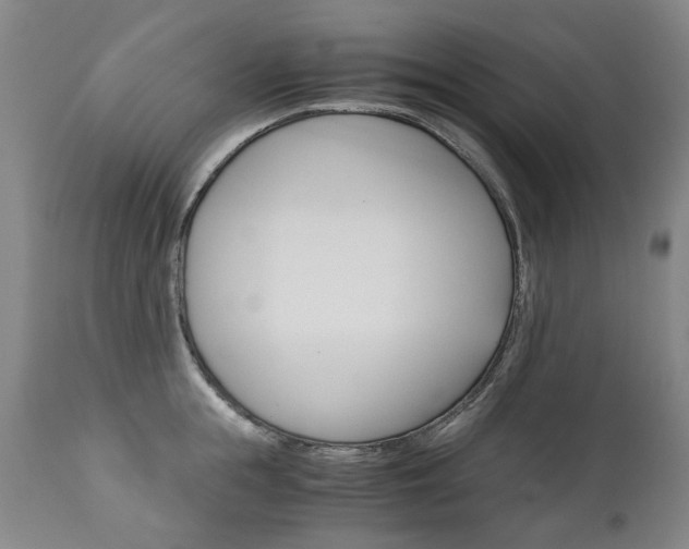X0000113140855200909040956