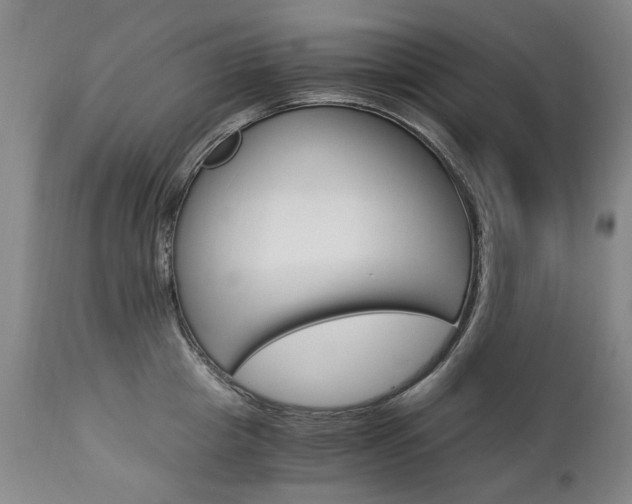 X0000113140857200909040956