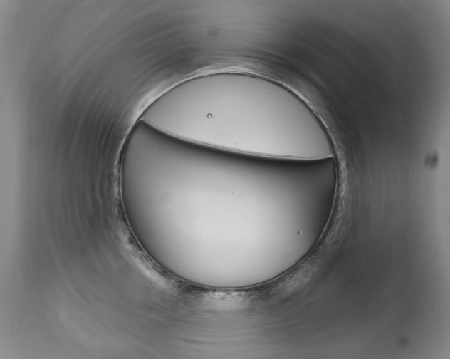 X0000113140858200909040956