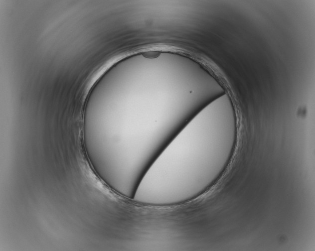 X0000113140860200909040956