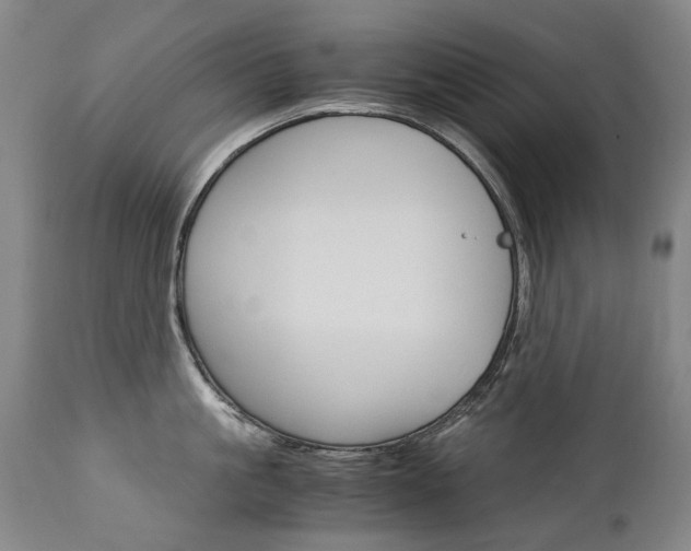 X0000113140861200909040956