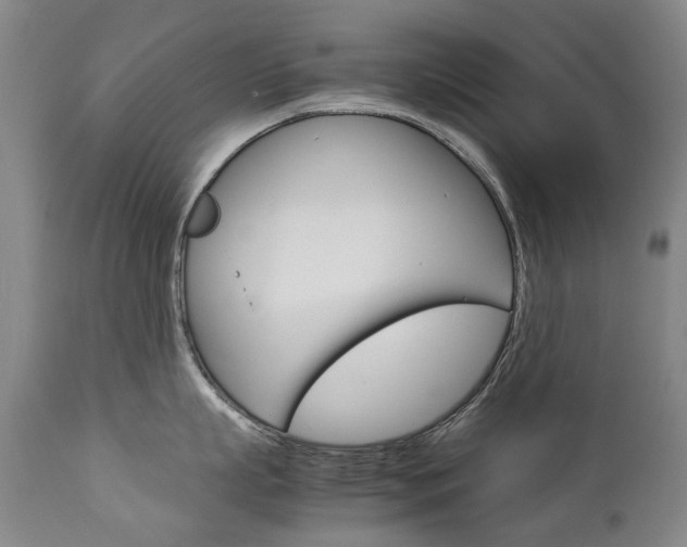 X0000113140863200909040956