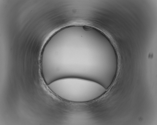 X0000113140864200909040956
