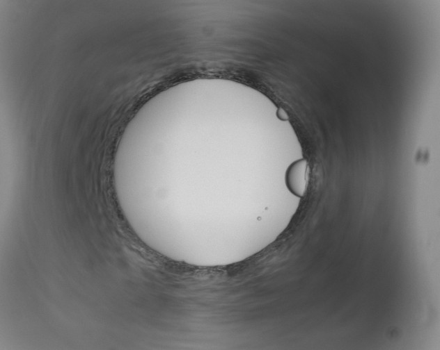 X0000113140865200909040955