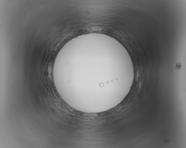 X0000113140866200909040955