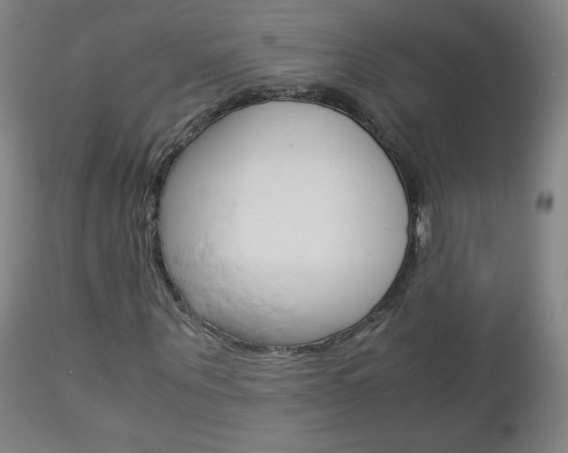 X0000113140867200909040955