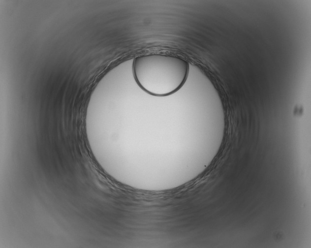 X0000113140868200909040955