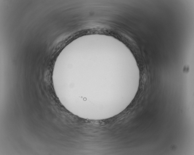 X0000113140869200909040955