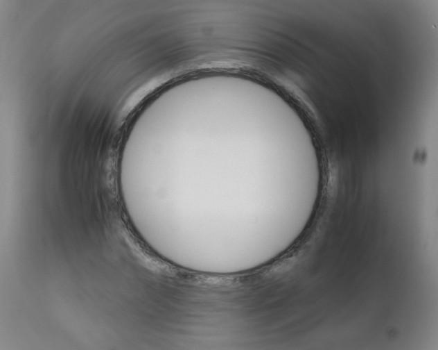 X0000113140874200909040955