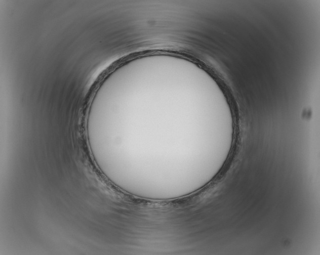 X0000113140875200909040955