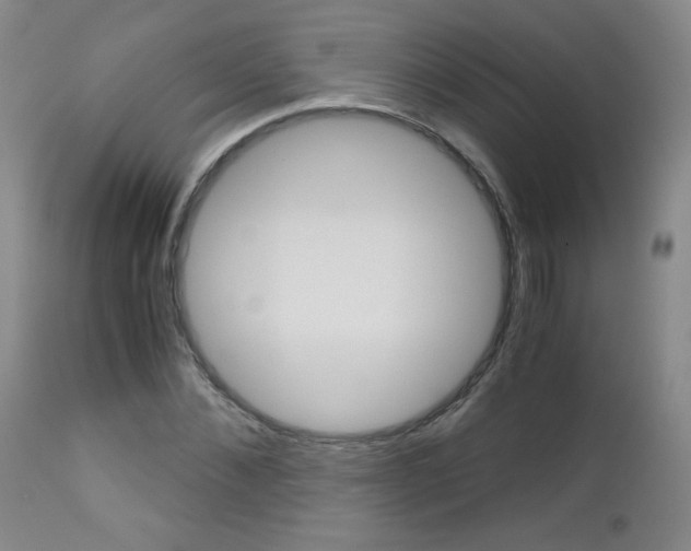 X0000113140876200909040955