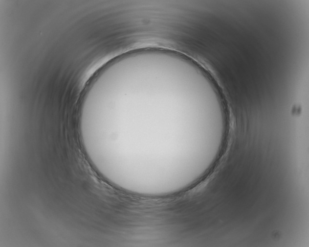 X0000113140877200909040955