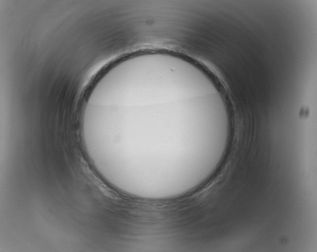 X0000113140878200909040955