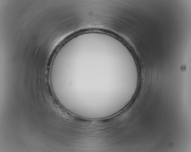 X0000113140879200909040955
