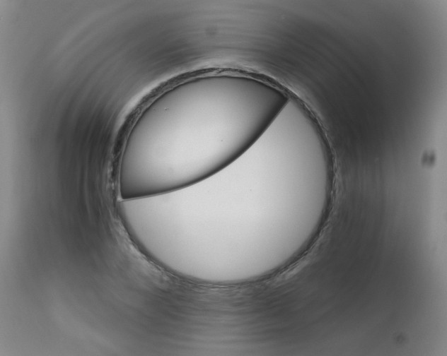 X0000113140880200909040955