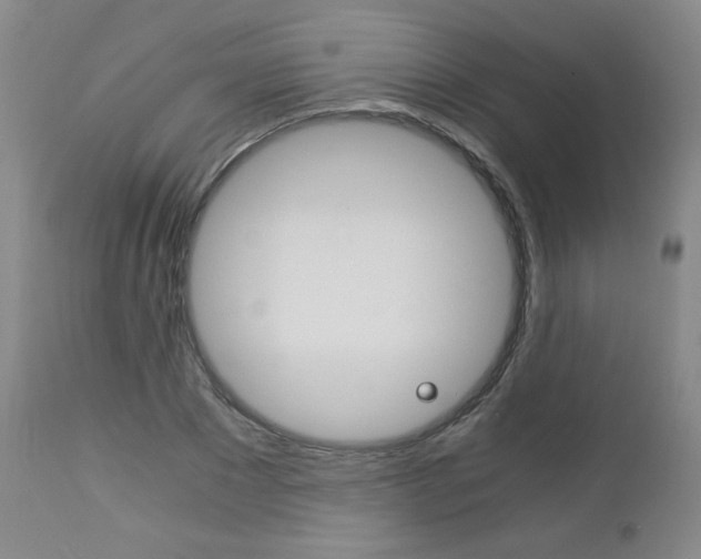 X0000113140881200909040955