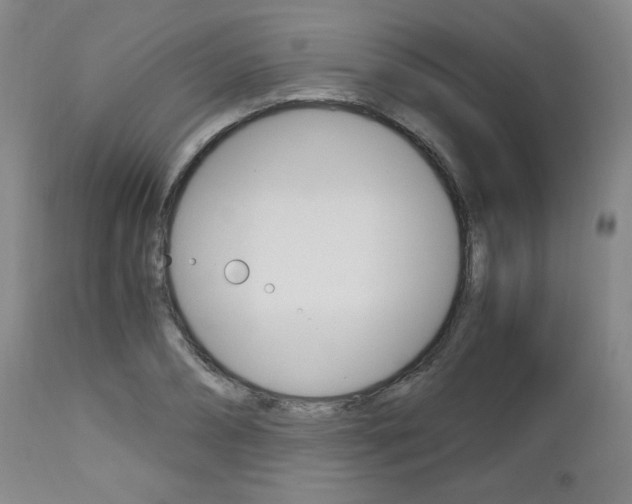 X0000113140882200909040955
