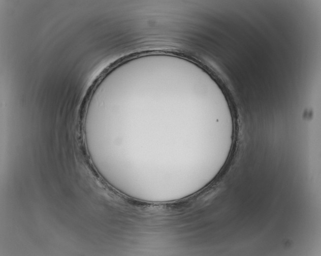 X0000113140883200909040955