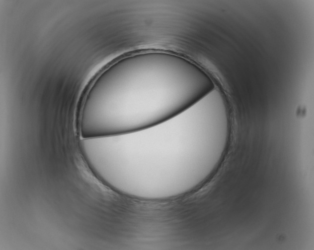 X0000113140884200909040955