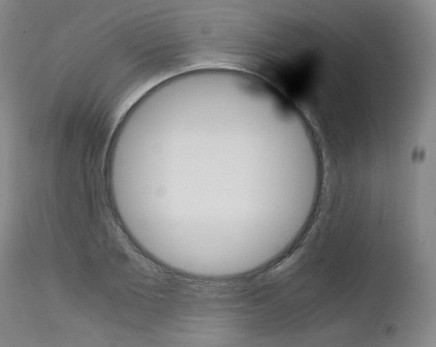 X0000113140885200909040955