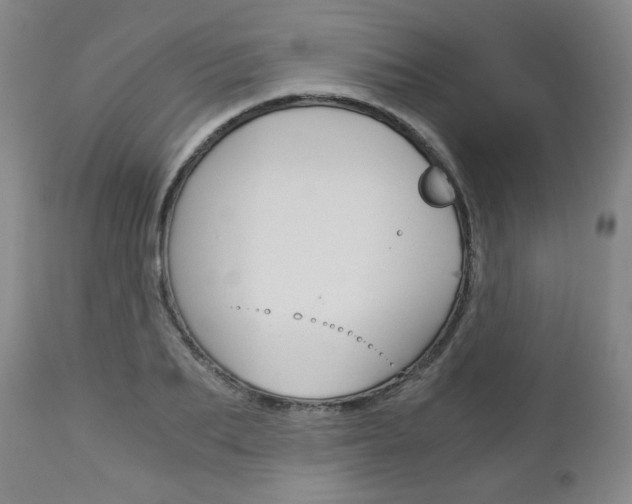 X0000113140887200909040955