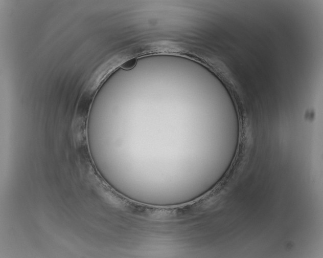 X0000113140889200909040955