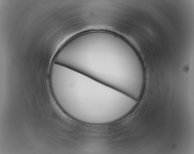 X0000113140895200909040955