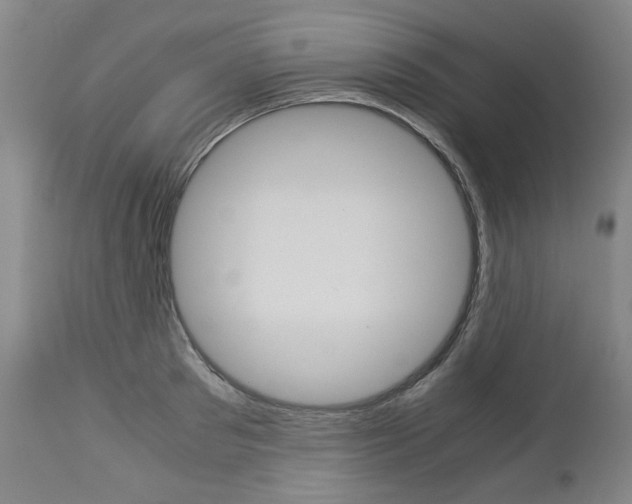X0000113140897200909040955