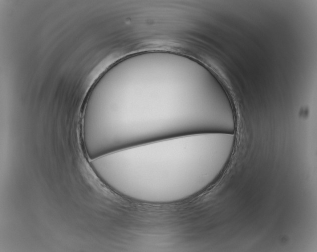 X0000113140899200909040955