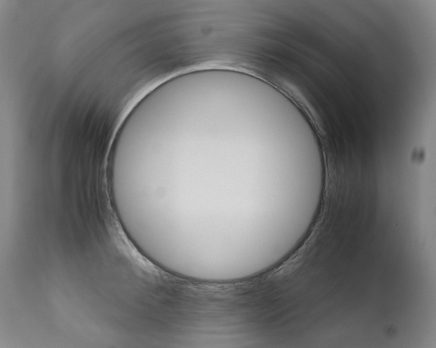 X0000113140900200909040955