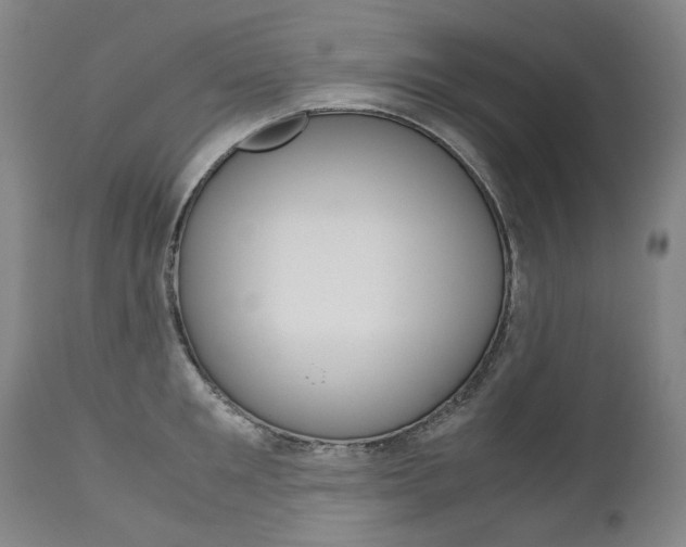 X0000113140901200909040955