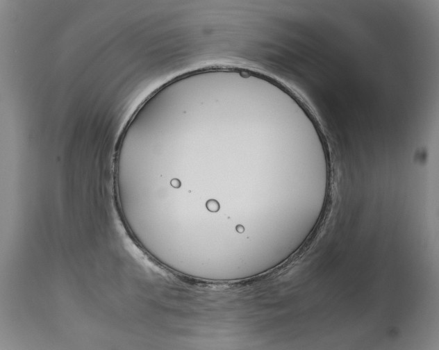 X0000113140903200909040955
