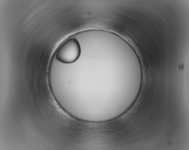 X0000113140904200909040955
