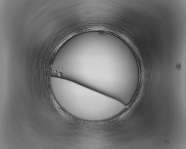 X0000113140905200909040955