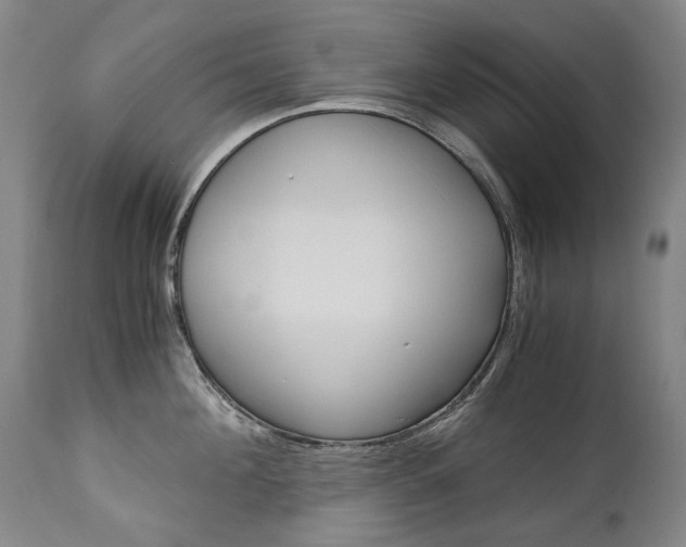 X0000113140908200909040954
