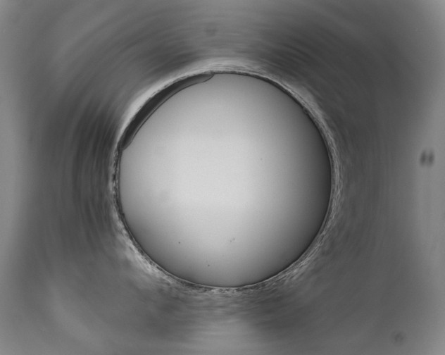 X0000113140912200909040954