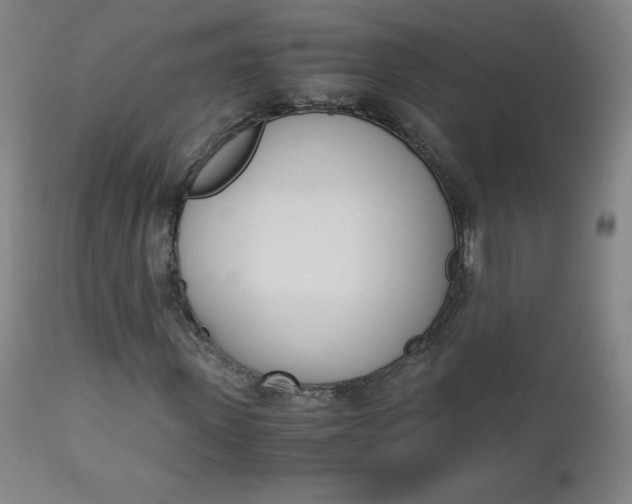 X0000113140915200909040954