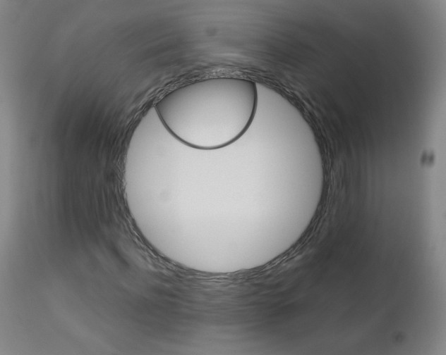 X0000113140916200909040954