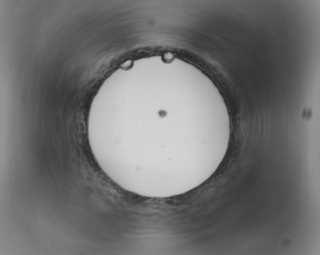 X0000113140918200909040954