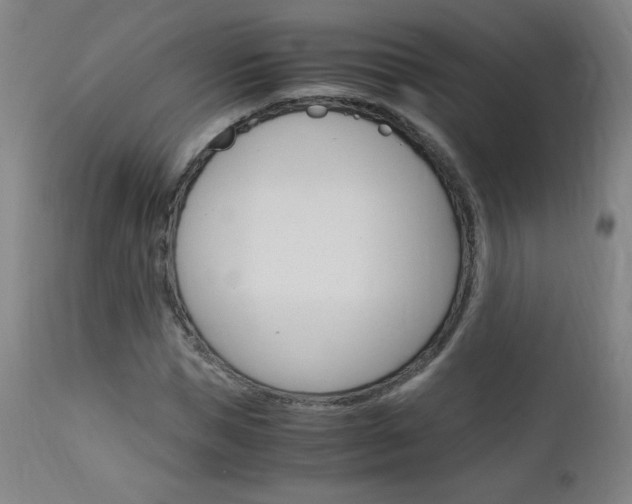 X0000113140921200909040954