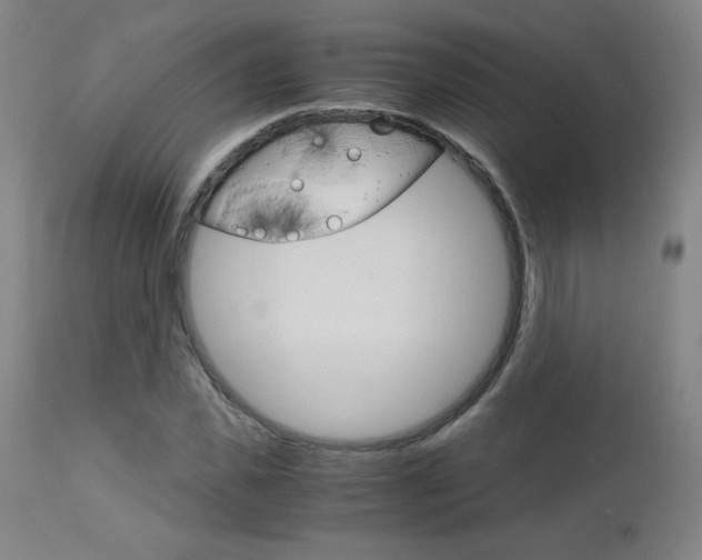 X0000113140925200909040954