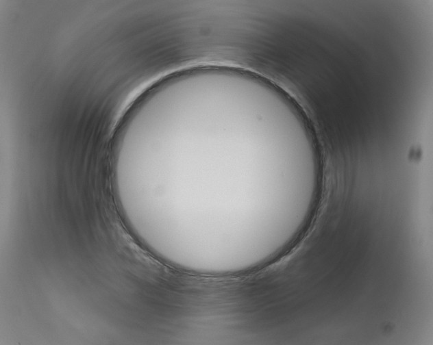 X0000113140926200909040954