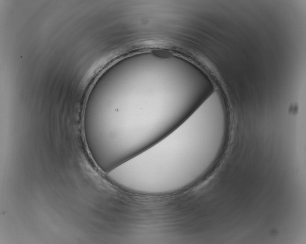 X0000113140930200909040954